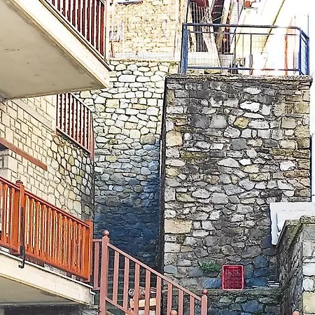 Κάλλος-Kallos Apartment Metsovo Exterior photo